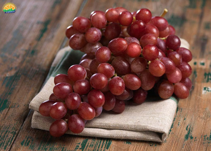خواص انگور قرمز بی دانه در طب سنتی
