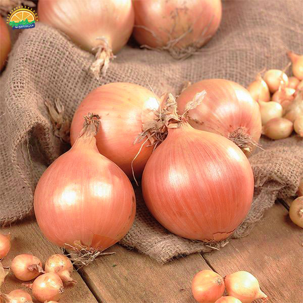 تقویت سلامت دستگاه گوارش با مصرف پیاز زرد