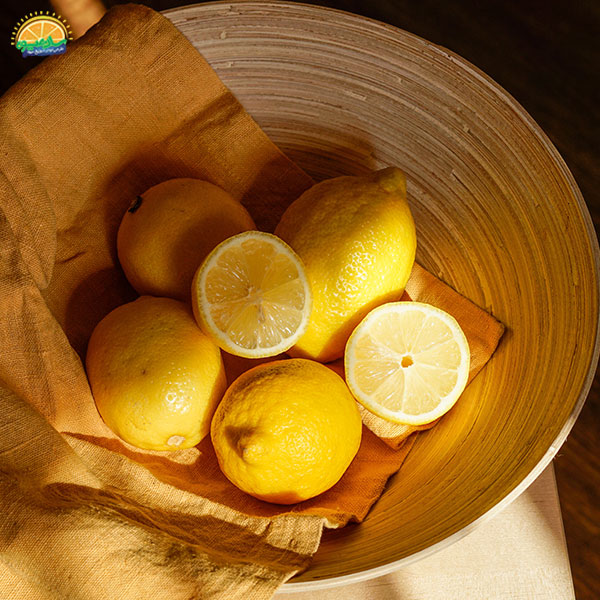 تقویت سیستم ایمنی بدن