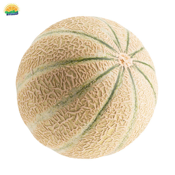 تقویت سیستم ایمنی بدن