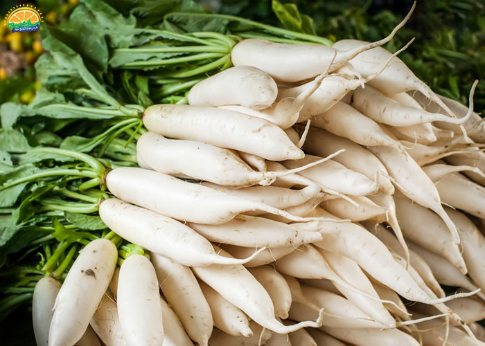 ترب سفید برای فشار خون 