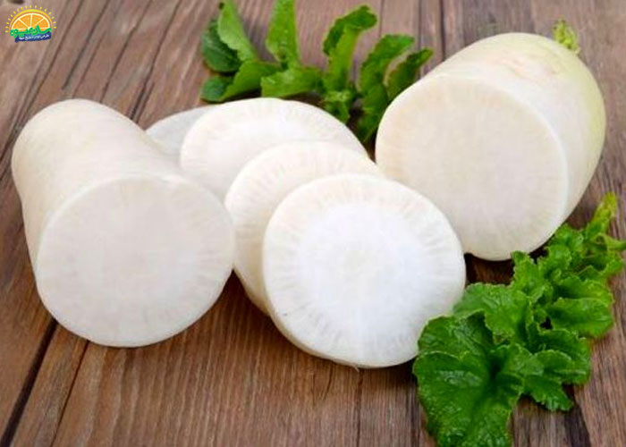 ترب سفید و درمان سلولیت 