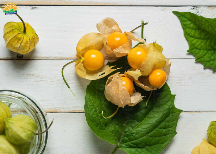 طریقه مصرف میوه فیسالیس