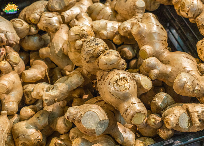 طریقهی مصرف زنجبیل