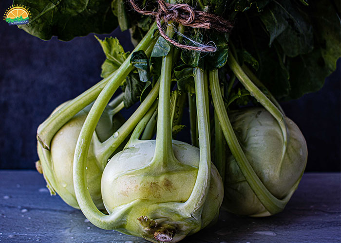 خواص کلم قمری برای  تقویت عملکرد ماهیچهها و سلولهای عصبی