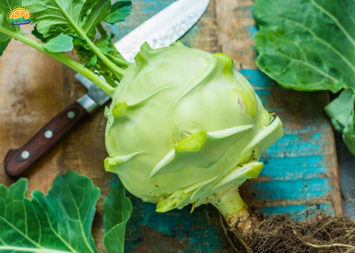 خواص کلم قمری برای درمان یا پیشگیری از یبوست