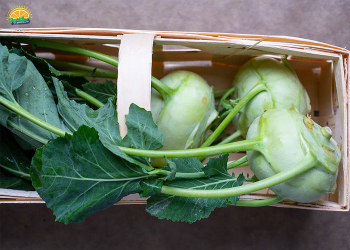 تقویت استخوانها از فواید آب کلم قمری