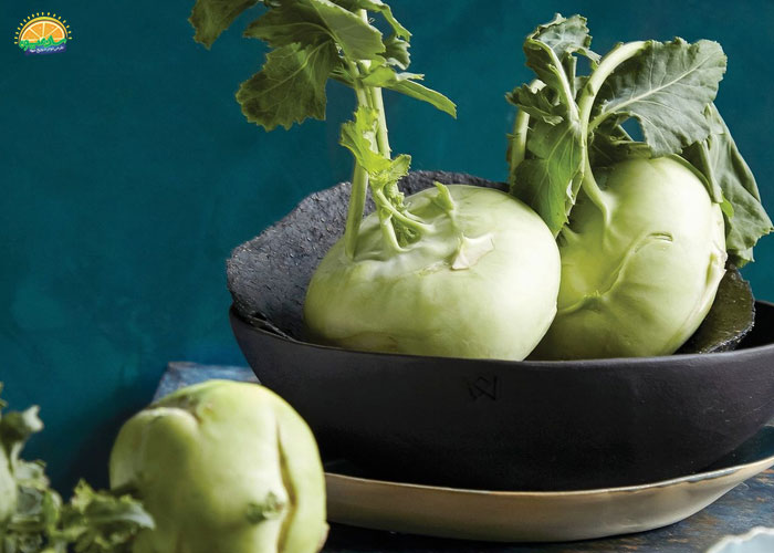 کلم قمری برای دیابت