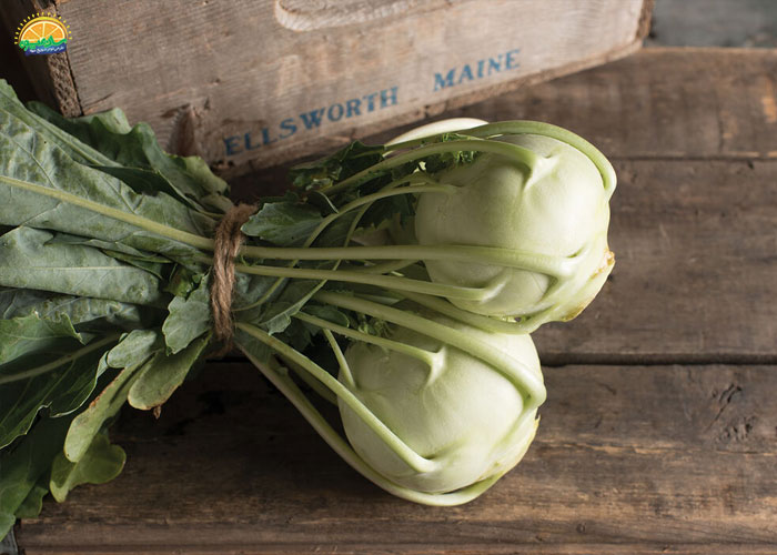 خواص کلم برای سنگ کلیه