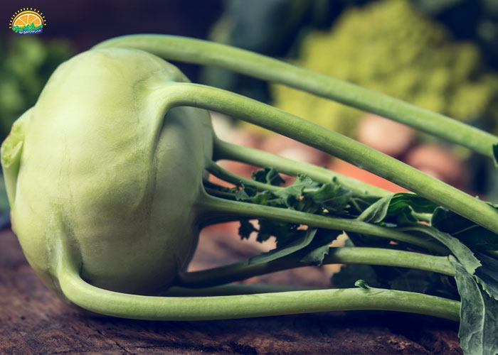 خواص کلم قمری برای کودکان