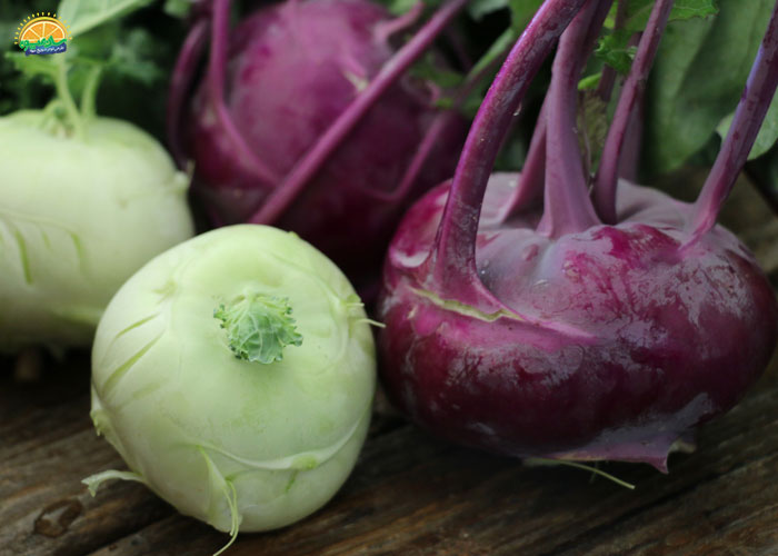 خواص کلم قمری در طب سنتی