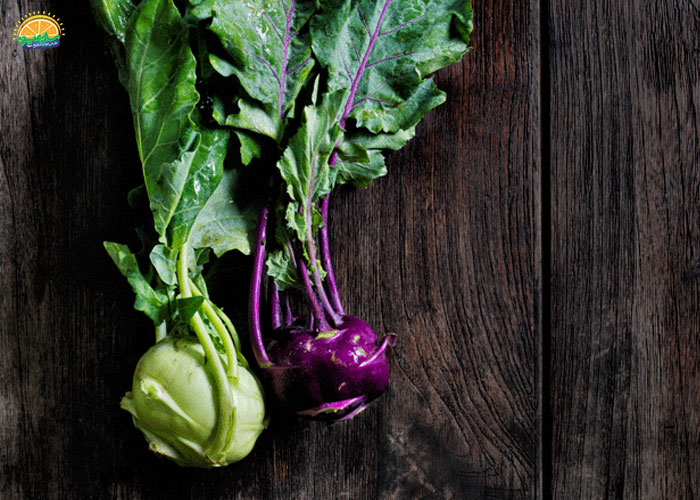 مضرات و فواید کلم قمری