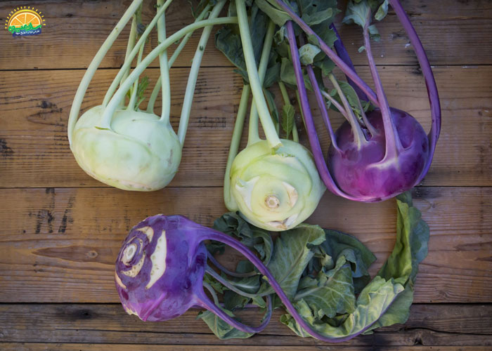 خواص کلم قمری برای پوست