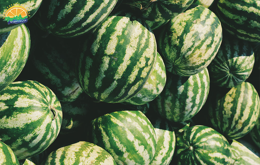 مصرف هندوانه در تابستان می تواند آب مورد نیاز بدن را تامین کند.
