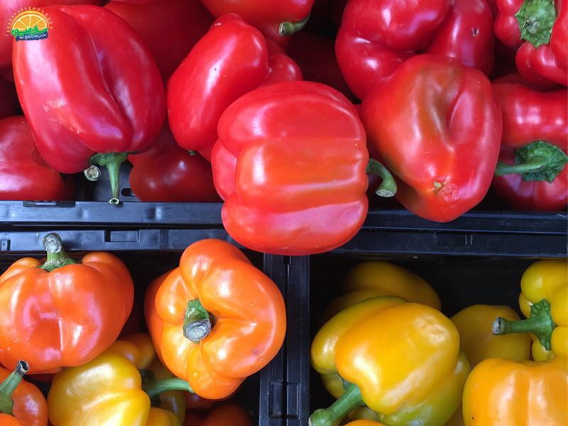 عوارض جانبی مصرف فلفل دلمه