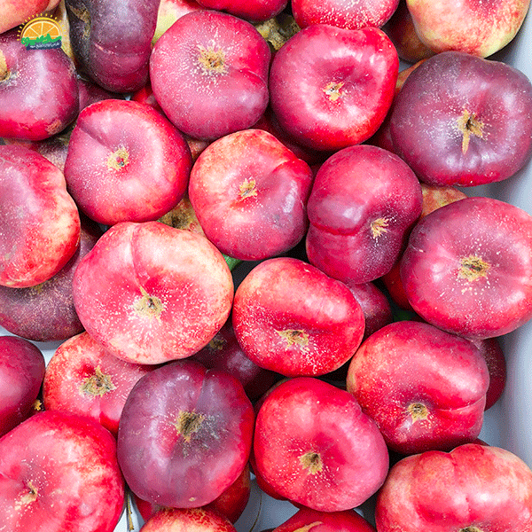 ویتامین‌ها و مواد معدنی موجود در شلیل انجیری