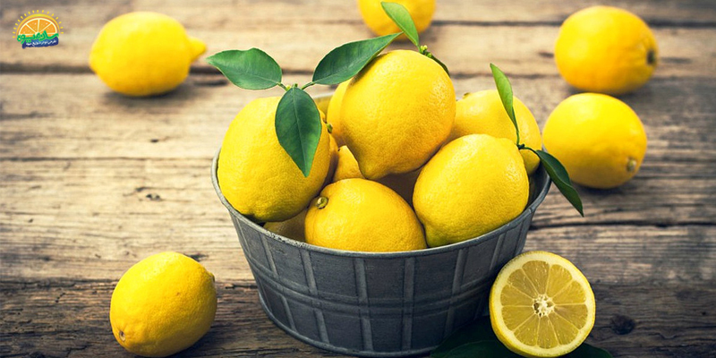 لیمو شیرین منبعی غنی از ویتامین C
