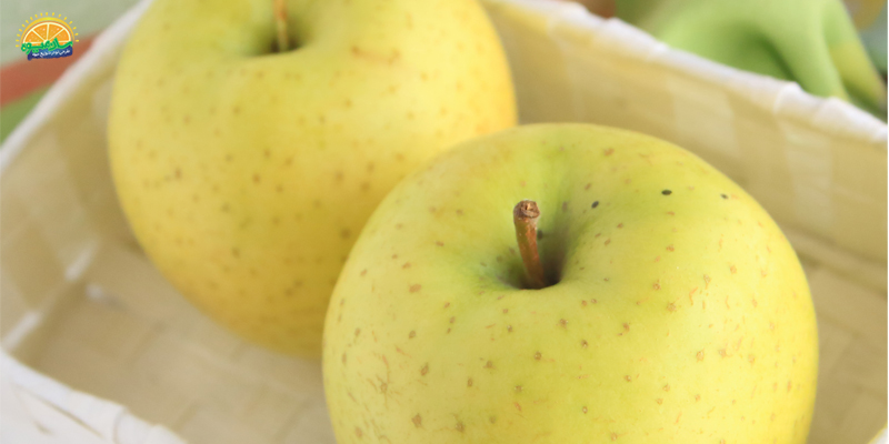 سلامت استخوان‌ها با خوردن سیب