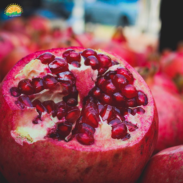 انار میوه فصل پاییز