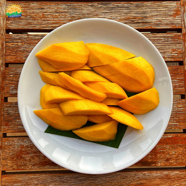 انبه تابستانی