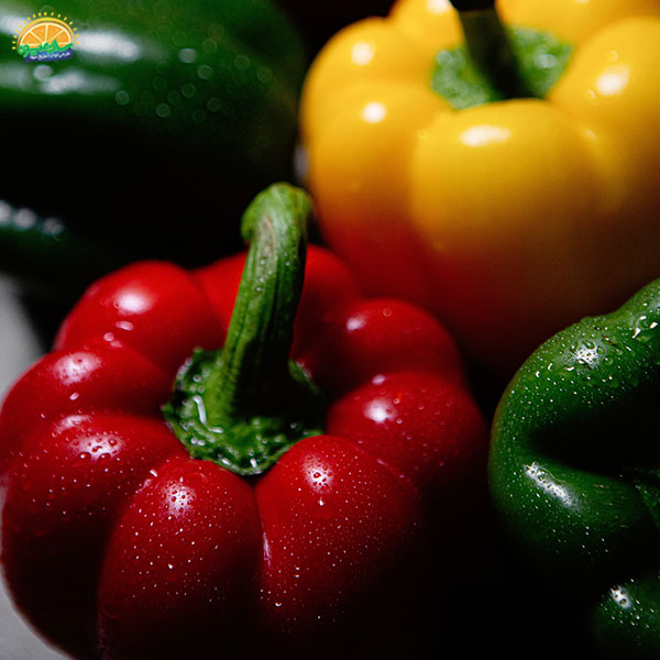 صیفی‌جات تازه – فلفل دلمه