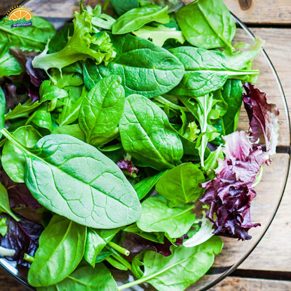 کاهش خطر ابتلا به بیماری‌های چشمی مرتبط با افزایش سن