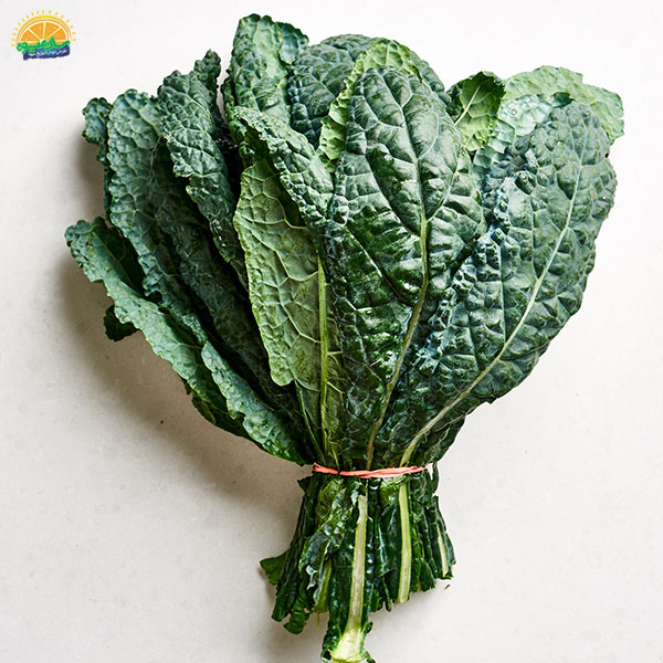 کلم برگ (Kale)