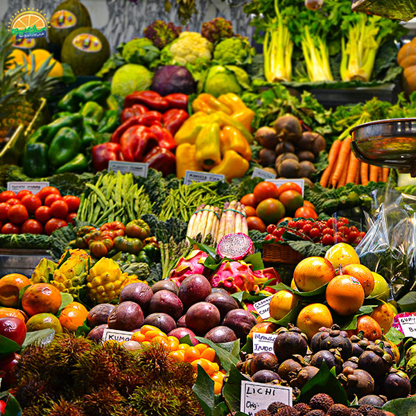 معرفی گروه غذایی صیفی جات