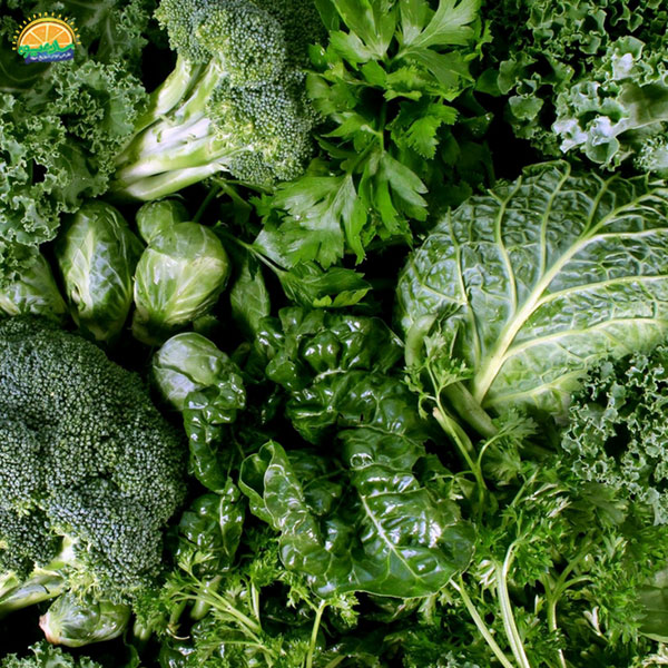 معرفی سبزیجات برگی