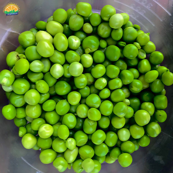 نخود سبز یا نخود فرنگی (Green Peas)