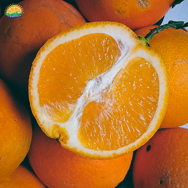 پرتقال میوه‌ی زمستانی