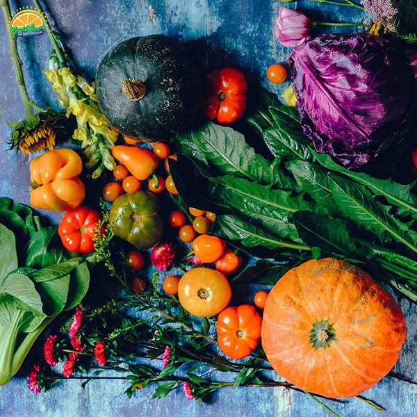 سبزیجات منبعی غنی از ویتامینها و مواد معدنی و مفید برای سلامتی