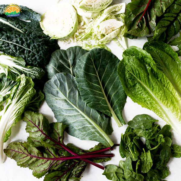 شستن و ذخیره‌ی سبزیجات برگی