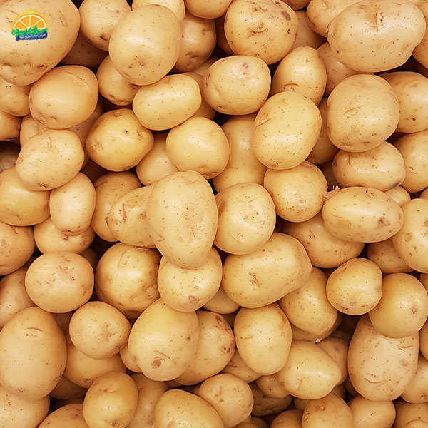 صیفی جات تازه – سیب زمینی