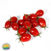 گوجه گیلاسی گوجه گیلاسی