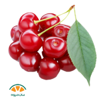 آلبالو پیوندی