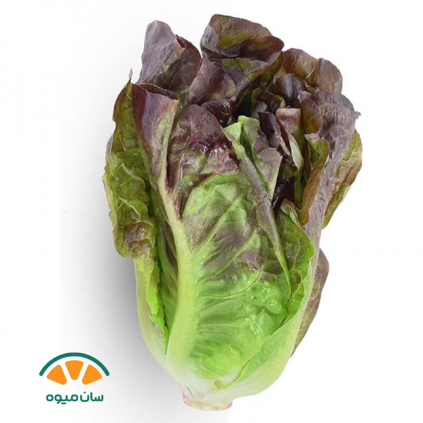 کاهو لیتل جم