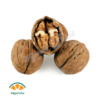 گردو ایرانی