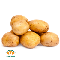 سیب زمینی سایز درشت