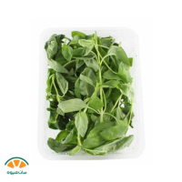 ریحان ایتالیایی