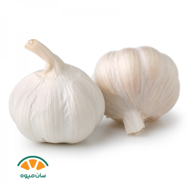 سیر خشک