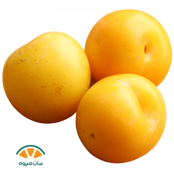 آلو قطره طلا