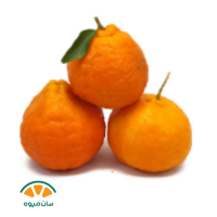 نارنگی بندری